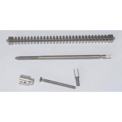 �t(y��)����е